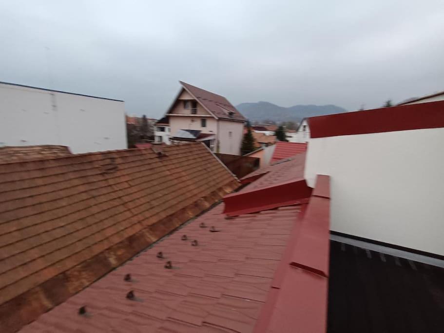 Old Town Studio 2 Apartment Nr 2 Baia Mare Buitenkant foto