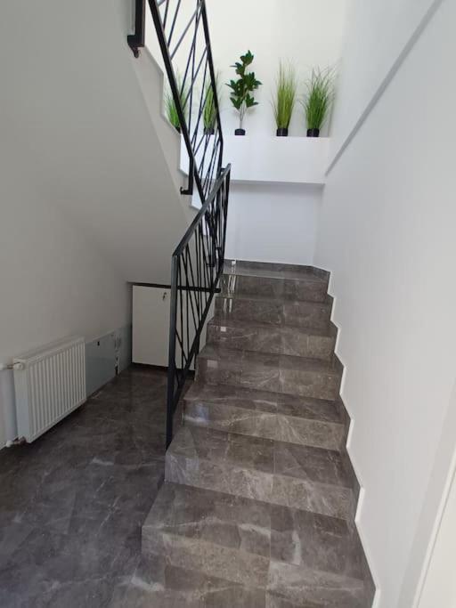 Old Town Studio 2 Apartment Nr 2 Baia Mare Buitenkant foto