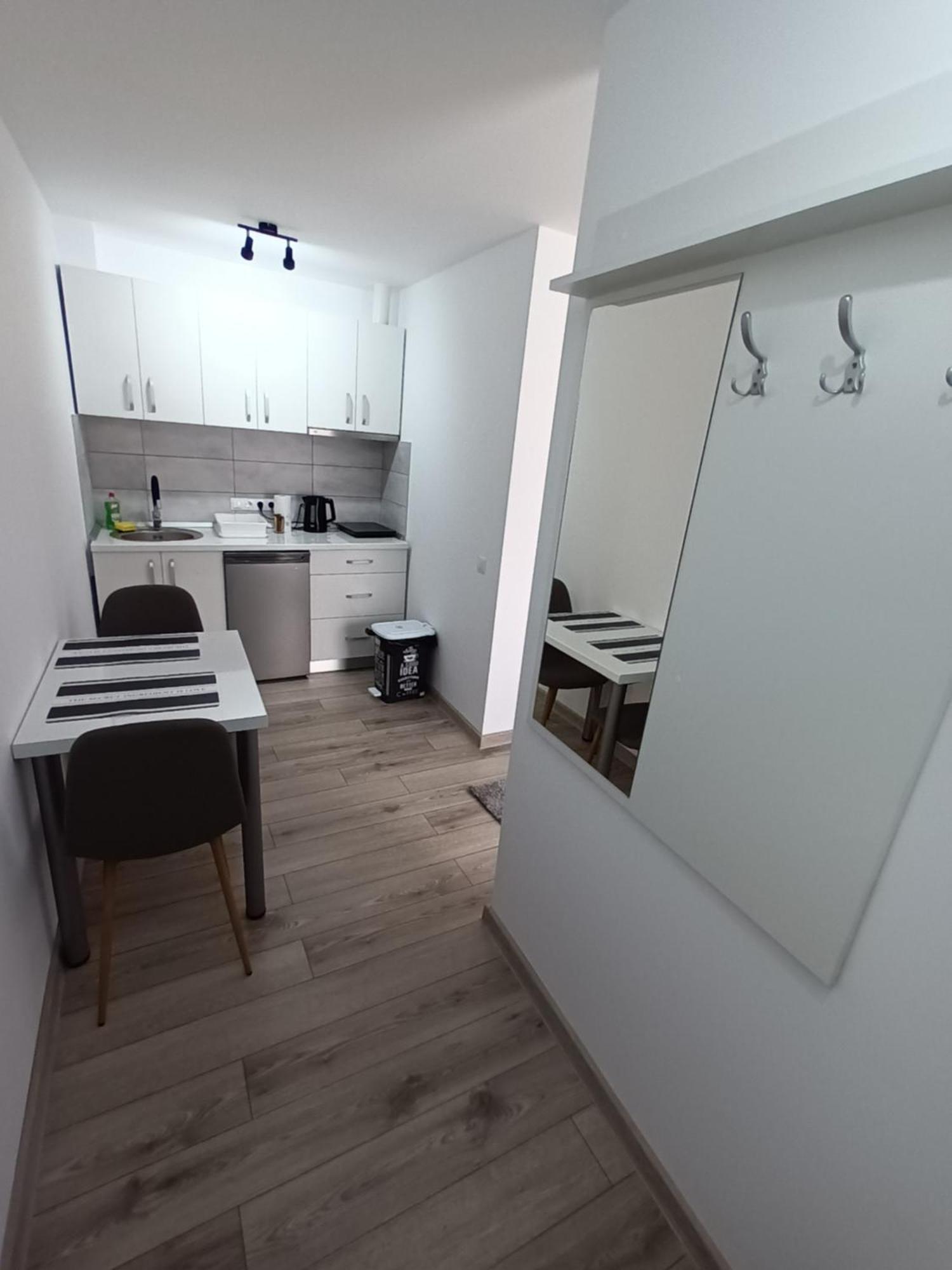 Old Town Studio 2 Apartment Nr 2 Baia Mare Buitenkant foto
